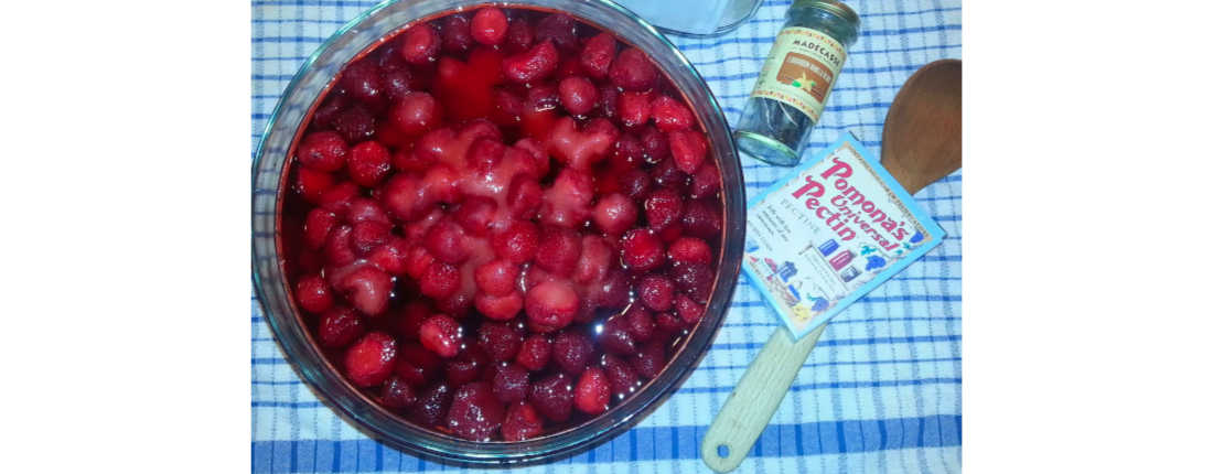 Strawberry Jam with Pomona's Pectin