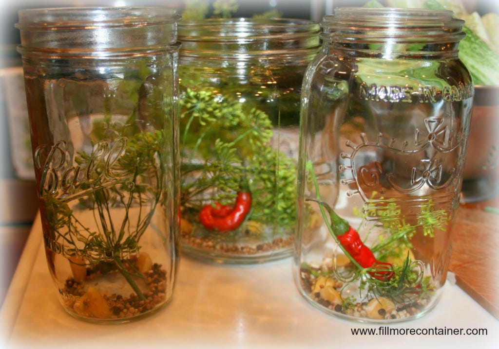 Pickling Spices in Jars Fillmore Container