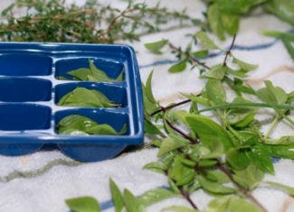 Freezing Herbs in Ice Tray