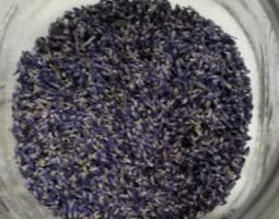 Lavender buds for Lavender jelly