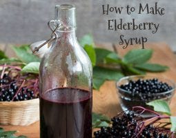 Elderberry Syrup