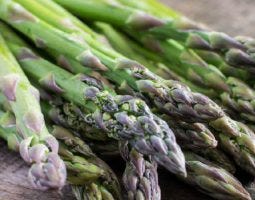AsparagusBlog FeaturedImageTemplate1100x430_1