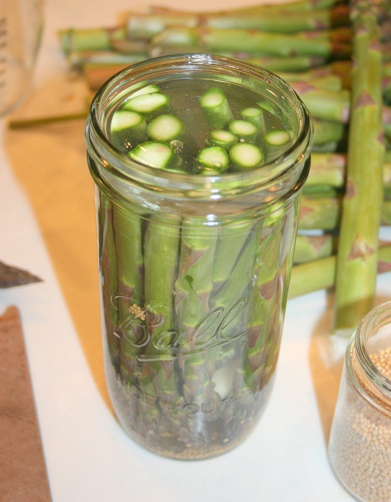 Probiotic Pickles Pickle Pebble