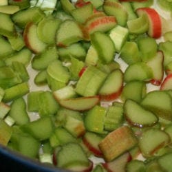 green rhubarb