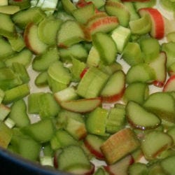 green rhubarb