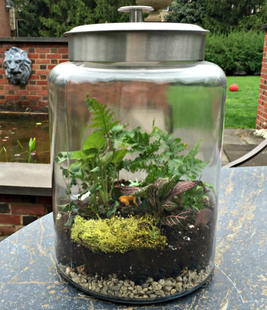 Terrarium-MontanaJar