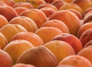 Peaches