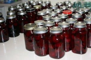 Pickled Beets Fillmore Container