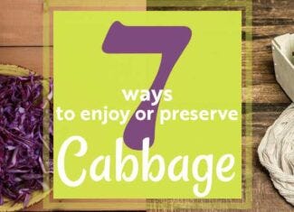 7 ways to enjoy or preserve cabbage