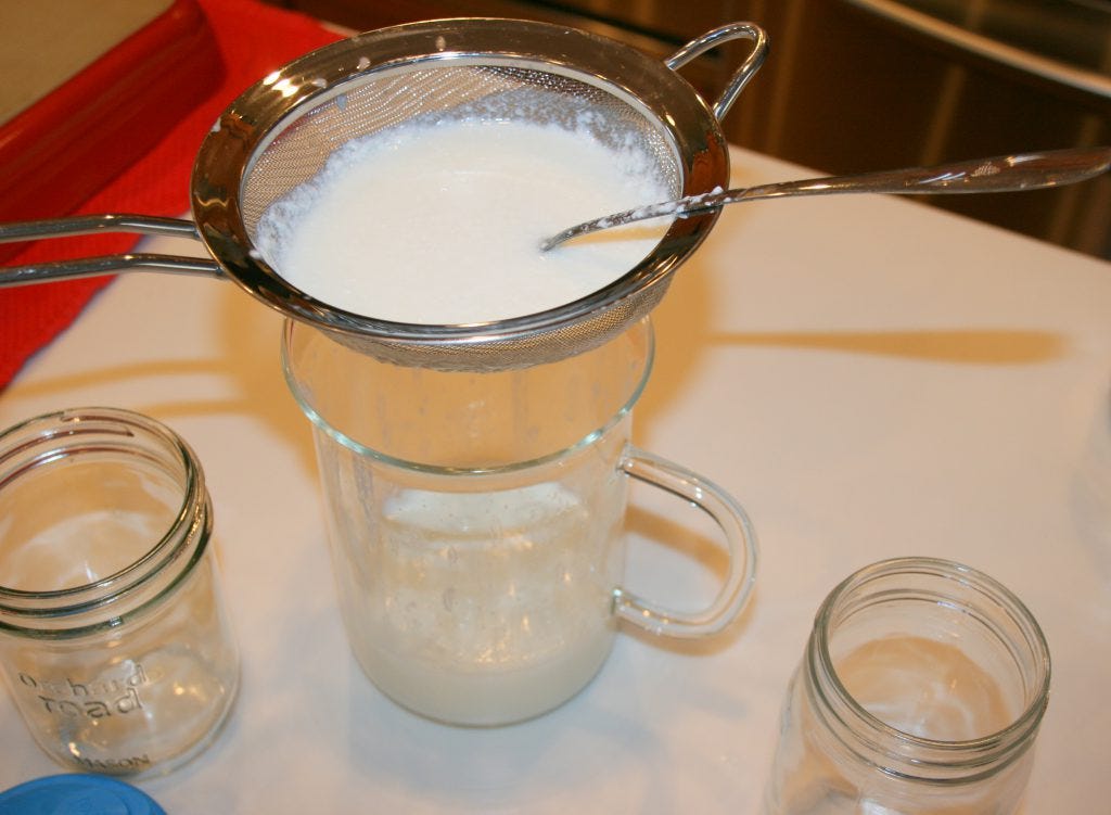 straining kefir fillmore container