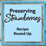 How to Preserve Strawberries Recipe Round Up