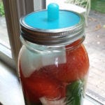 FermentedTomatoSalsa