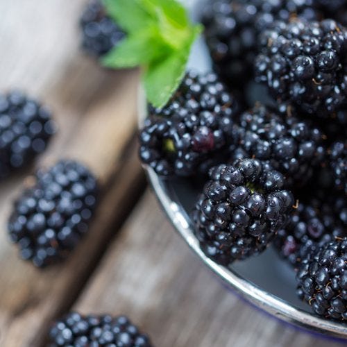 Black Raspberries for Shrub