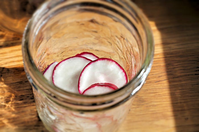 Pickled-radish