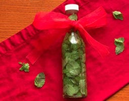 Mint Extract in Woozy