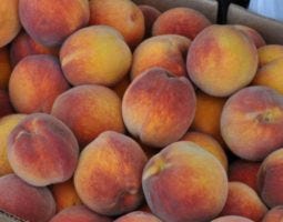 peaches