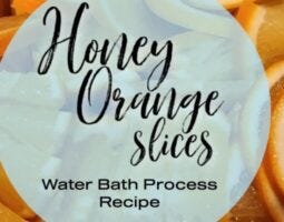 Honey Orange Slices featured image