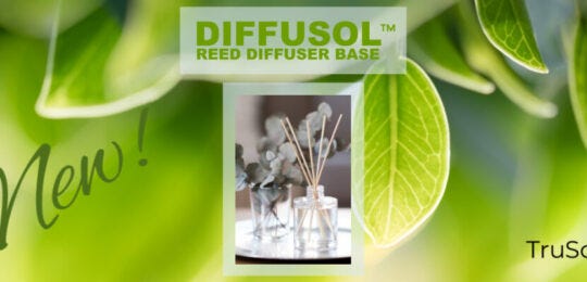 Diffusol Reed Diffuser Base from TruScent Fillmore Container
