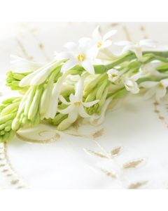 Warm Tuberose Fragrance Oil - Fillmore Container