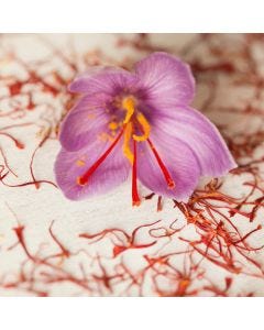 Cedar & Saffron TruScent Fragrance Oil - Fillmore Container