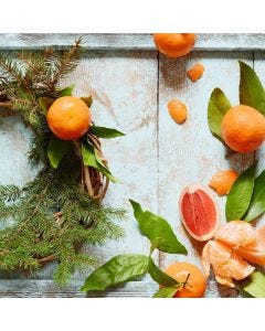 Citrus Spruce TruScent Fragrance Oil - Fillmore Container