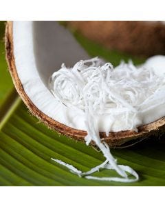 Coconut TruScent Fragrance Oil - Fillmore Container
