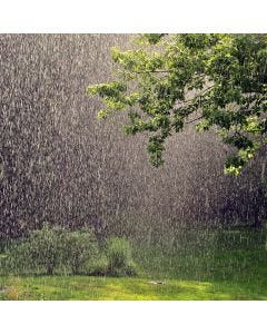 Fresh Rain TruScent Fragrance Oil - Fillmore Container