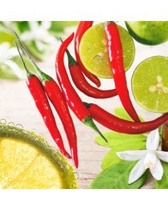 Fresh Szechuan Fiesta Fragrance Oil - Fillmore Container