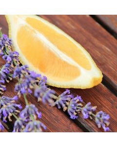 Lemon & Lavender TruScent Fragrance Oil - Fillmore Container