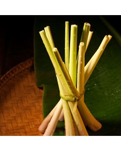 Lemon Grass TruScent Fragrance Oil - Fillmore Container