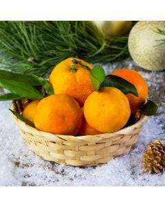Orange & Cedar Fragrance Oil - Fillmore Container