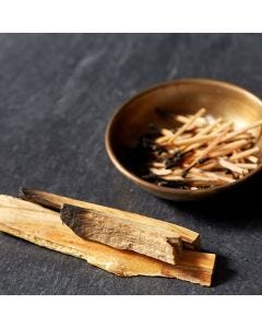 Palo Santo TruScent Fragrance Oil - Fillmore Container
