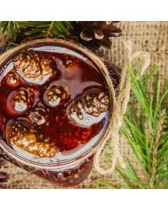 Pinecone & Honey Fragrance Oil - Fillmore Container