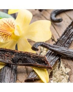 Exotic Vanilla Fragrance Oil - TruScent - Fillmore Container