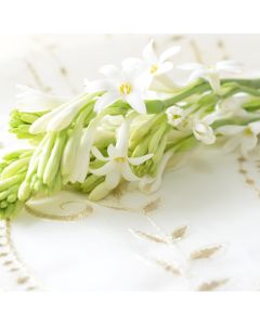 Warm Tuberose Fragrance Oil - Fillmore Container