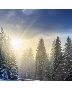 Winter Woodland TruScent Fragrance Oil - Fillmore Container