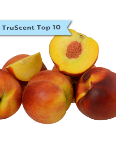 Peach Preserves TruScent Fragrance Oil - Fillmore Container