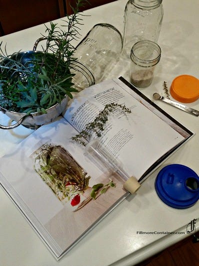 Winter Herb Kvass
